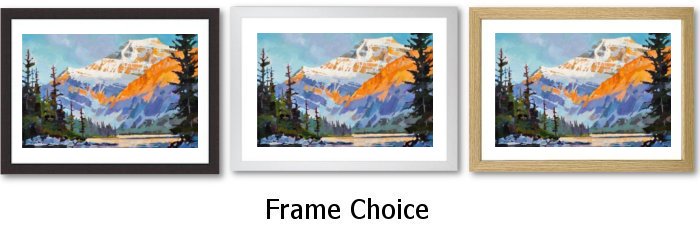 Frame Choice